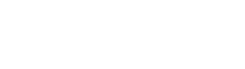 FOKUS